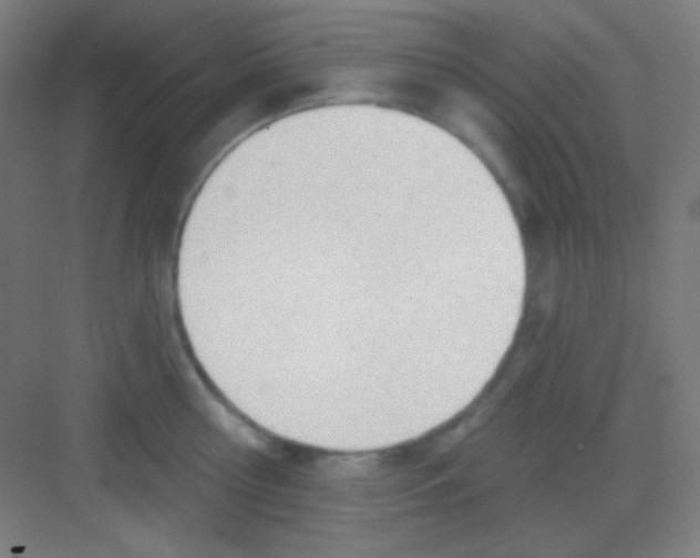 X0000081280810200702081951