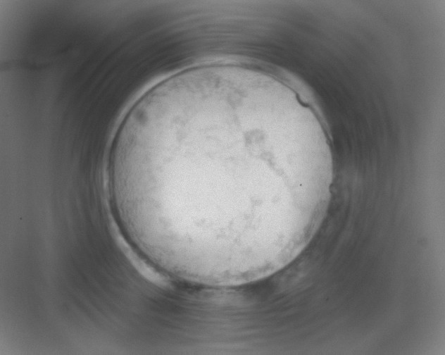 X0000081280811200702081951