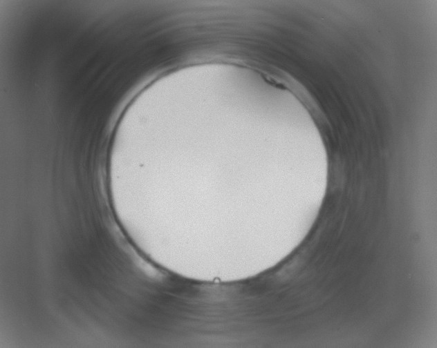 X0000081280812200702081951