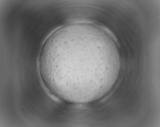 X0000081280814200702081951