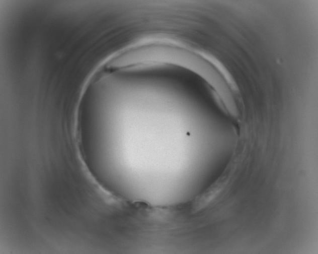 X0000081280815200702081951