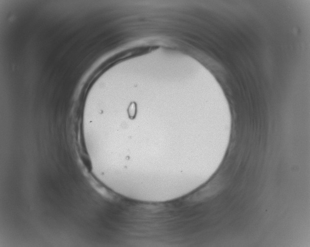 X0000081280816200702081951