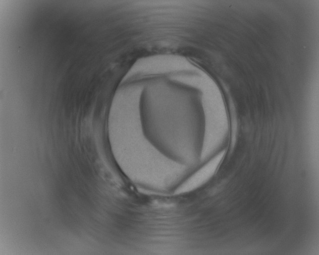 X0000081280818200702081950