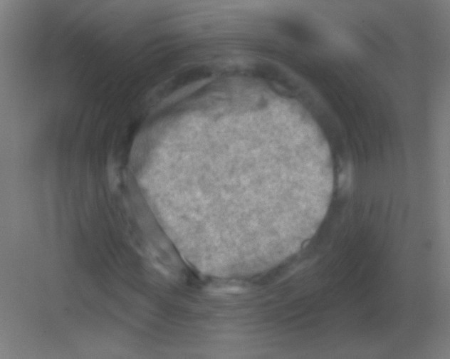 X0000081280819200702081950