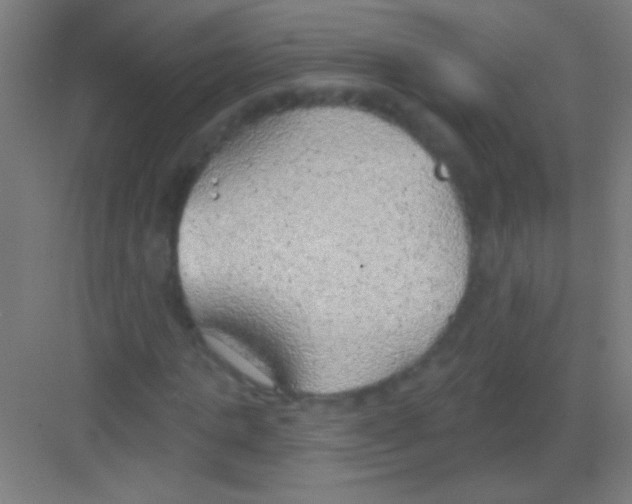 X0000081280821200702081950