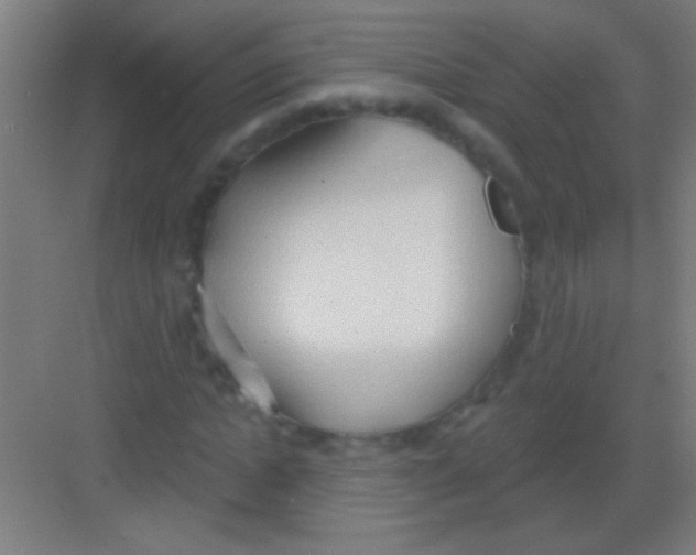 X0000081280822200702081950