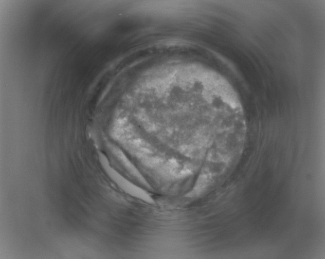 X0000081280823200702081950