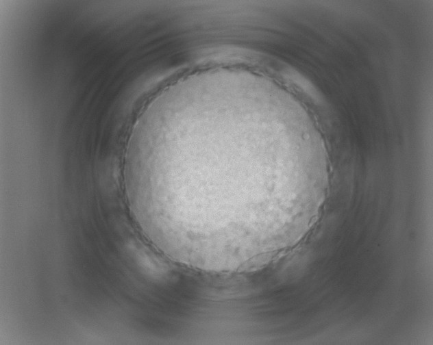 X0000081280824200702081950