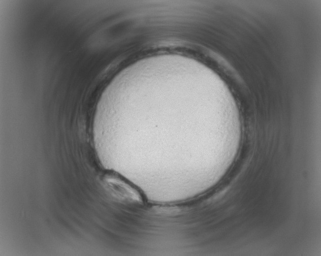 X0000081280825200702081950