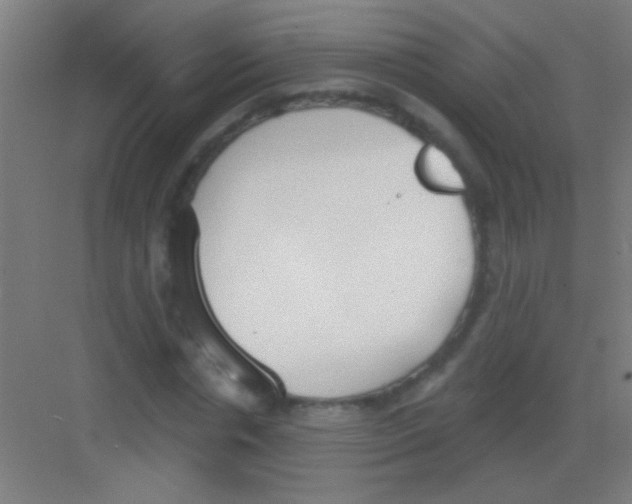 X0000081280826200702081950