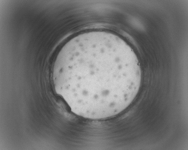 X0000081280827200702081950