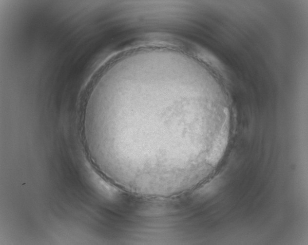 X0000081280828200702081950