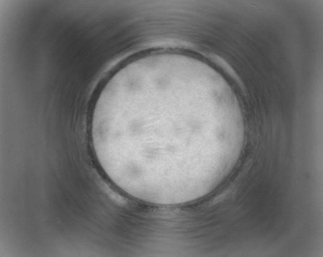 X0000081280831200702081950