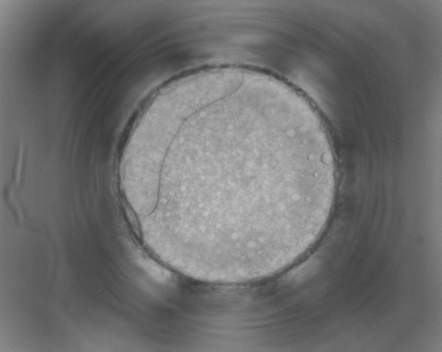 X0000081280832200702081950