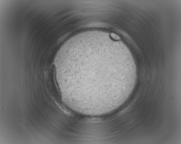 X0000081280833200702081950