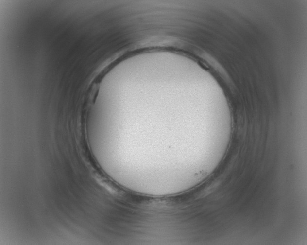 X0000081280834200702081950