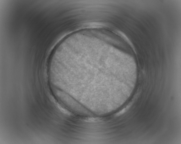 X0000081280835200702081950