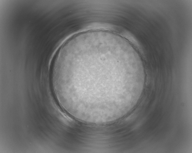 X0000081280836200702081950