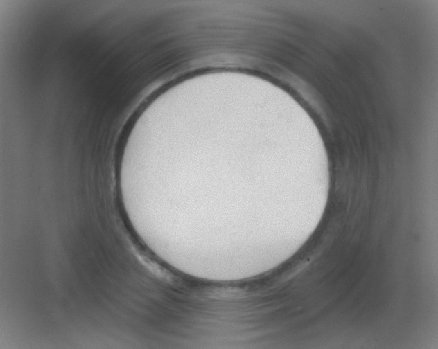 X0000081280837200702081950