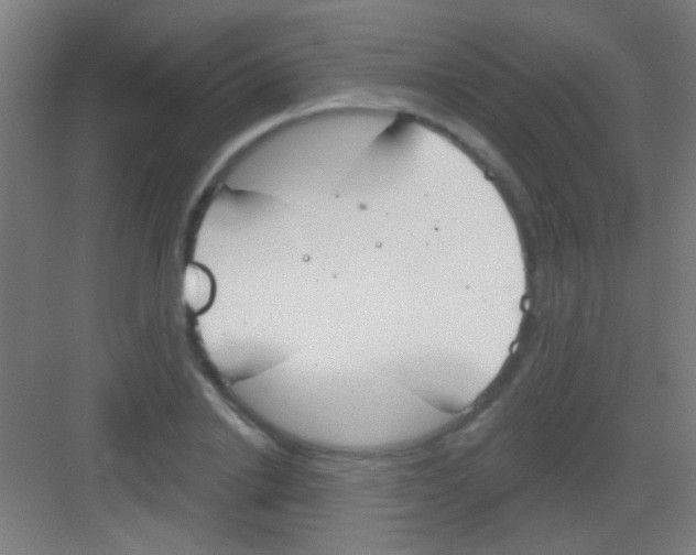 X0000081280838200702081950