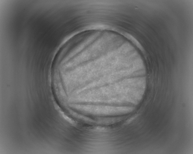 X0000081280839200702081950