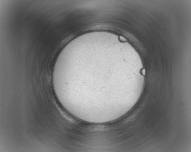 X0000081280841200702081950