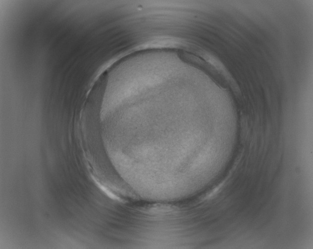 X0000081280842200702081950