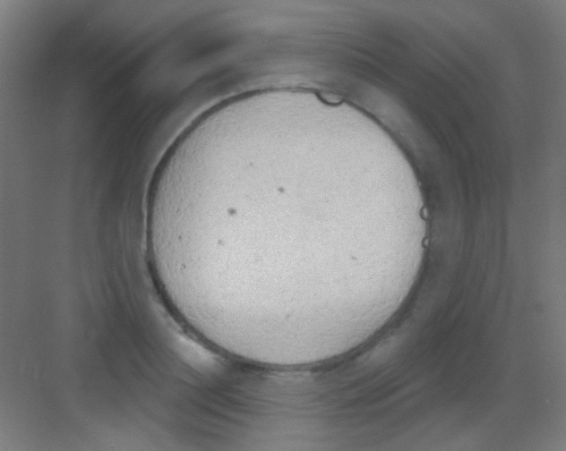 X0000081280844200702081951