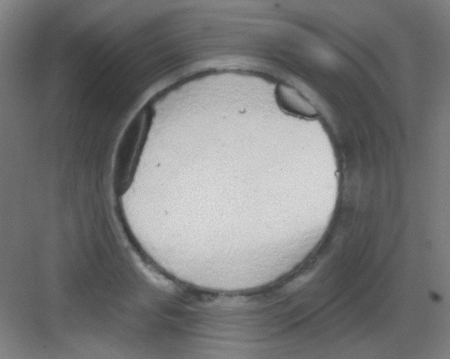 X0000081280845200702081951