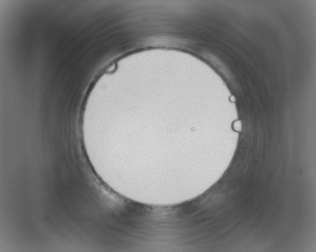 X0000081280848200702081951