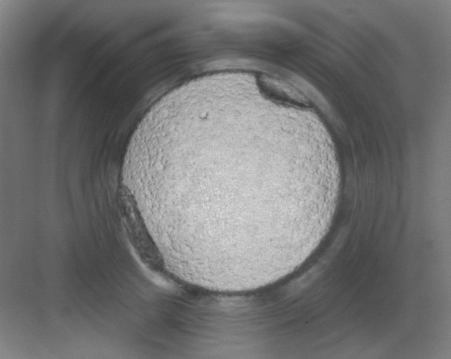 X0000081280849200702081951