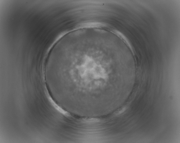 X0000081280851200702081951