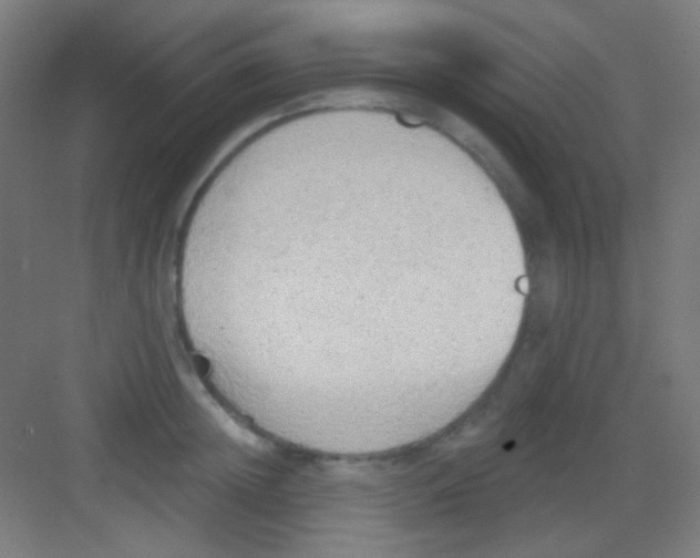 X0000081280852200702081951