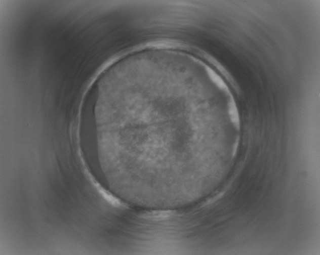 X0000081280853200702081951