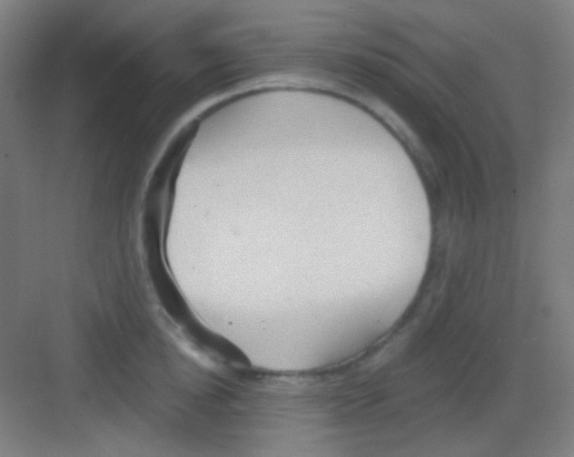 X0000081280854200702081951