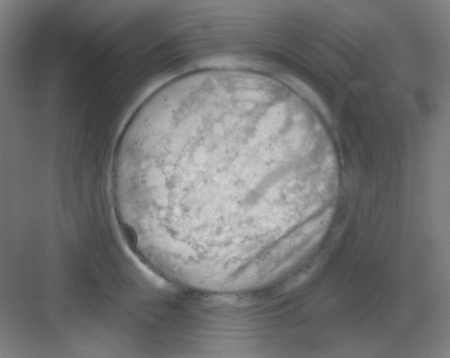 X0000081280855200702081951