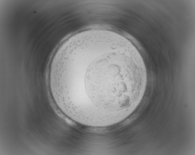 X0000081280856200702081951