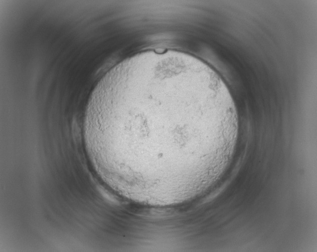 X0000081280857200702081951