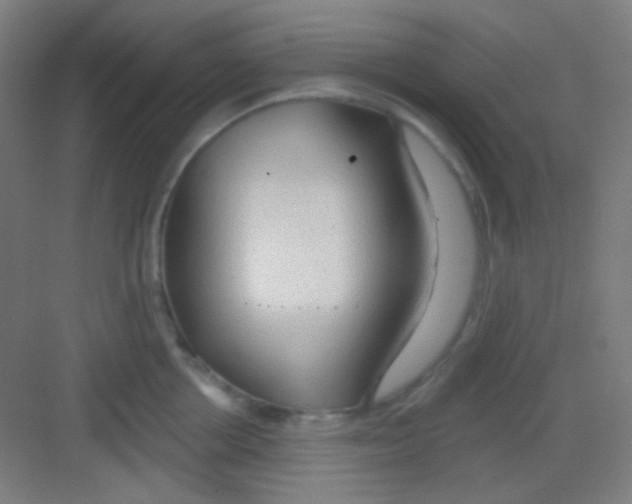 X0000081280858200702081951