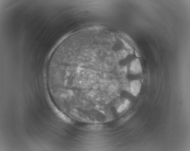 X0000081280859200702081951