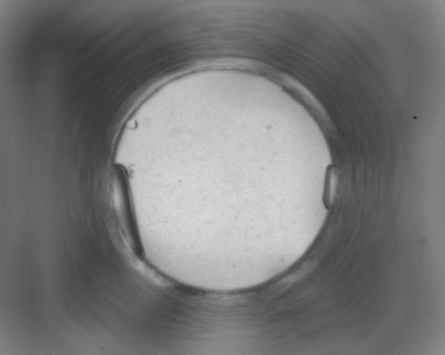 X0000081280860200702081951