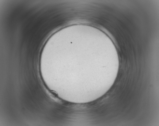 X0000081280861200702081951