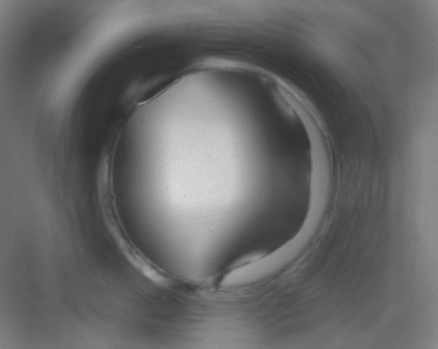 X0000081280862200702081951