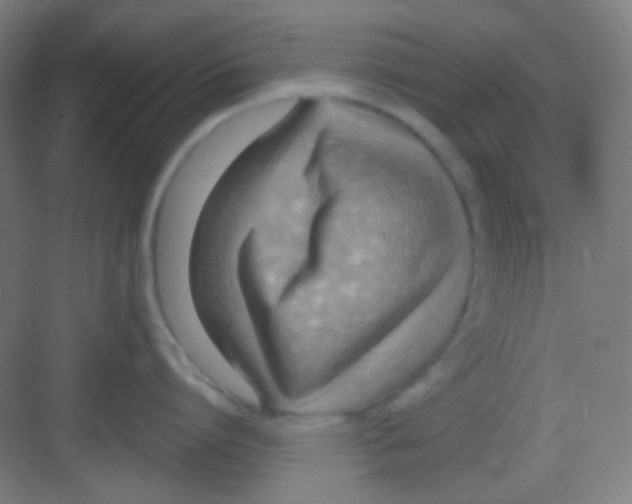 X0000081280864200702081951