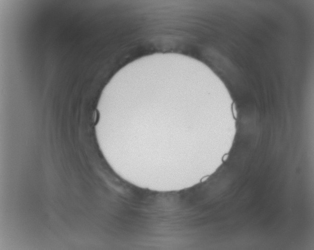 X0000081280865200702081950