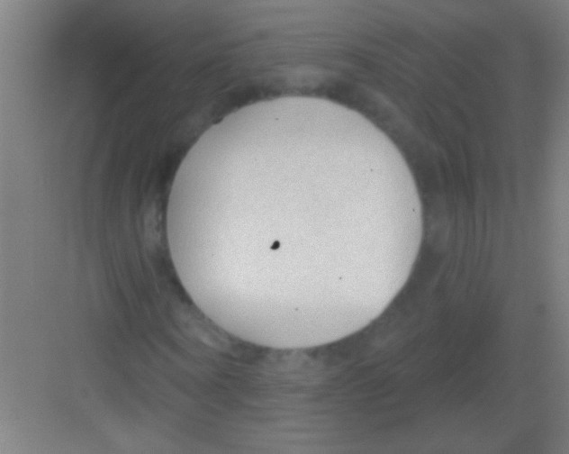 X0000081280866200702081950