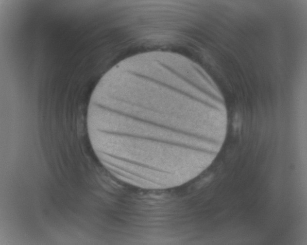 X0000081280868200702081950