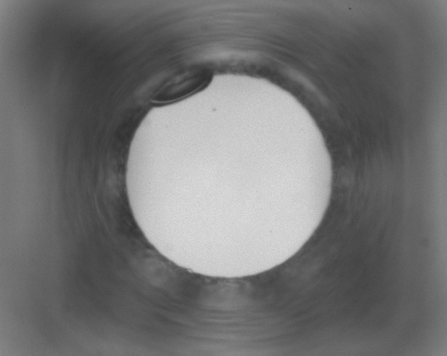 X0000081280869200702081950