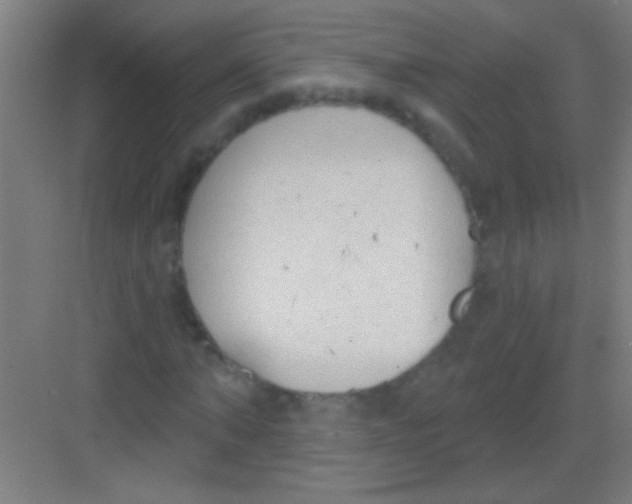 X0000081280870200702081950