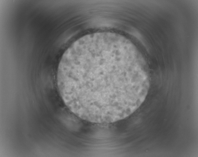 X0000081280871200702081950